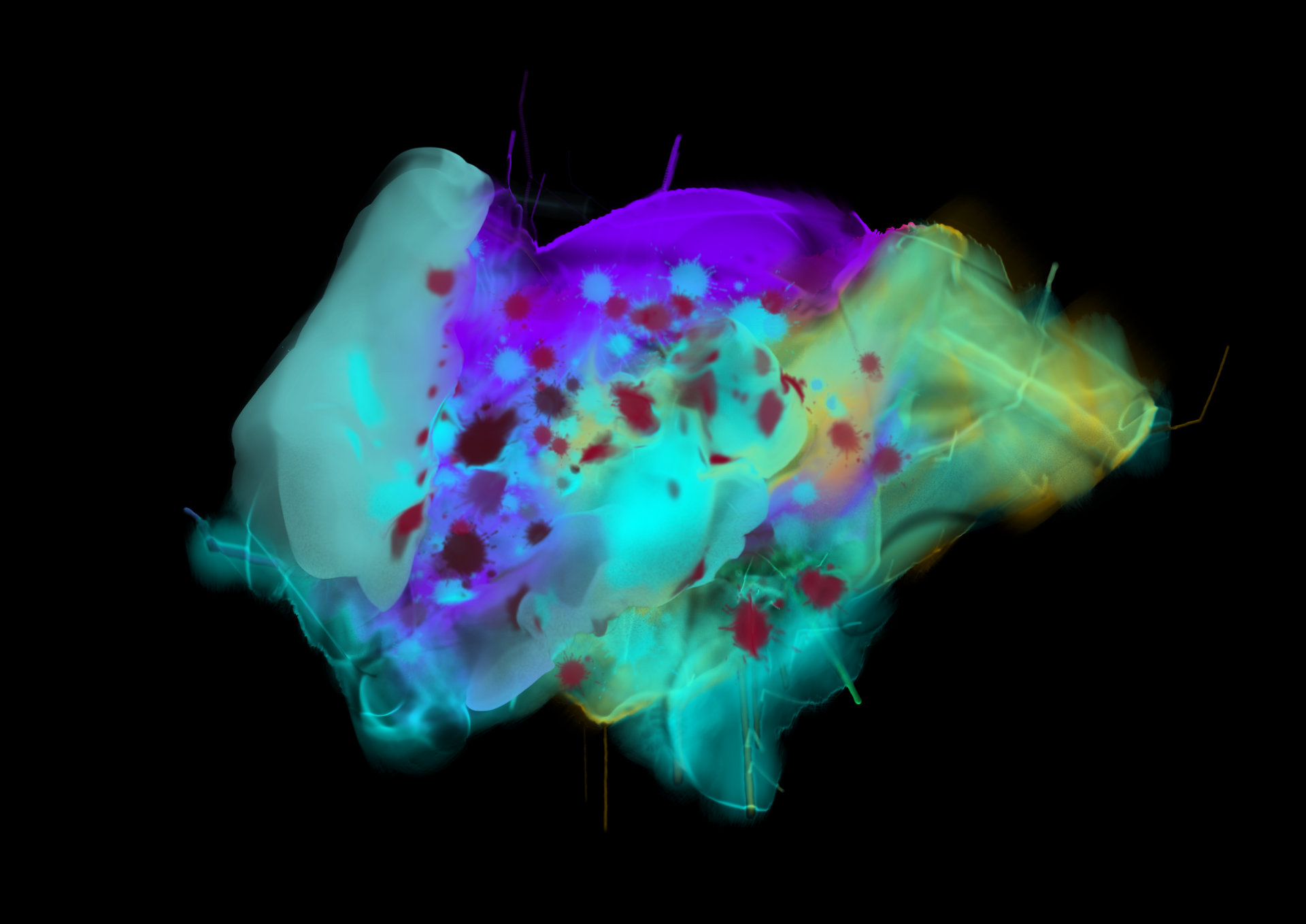 'Brain Fog', Rebelle 4, 2021