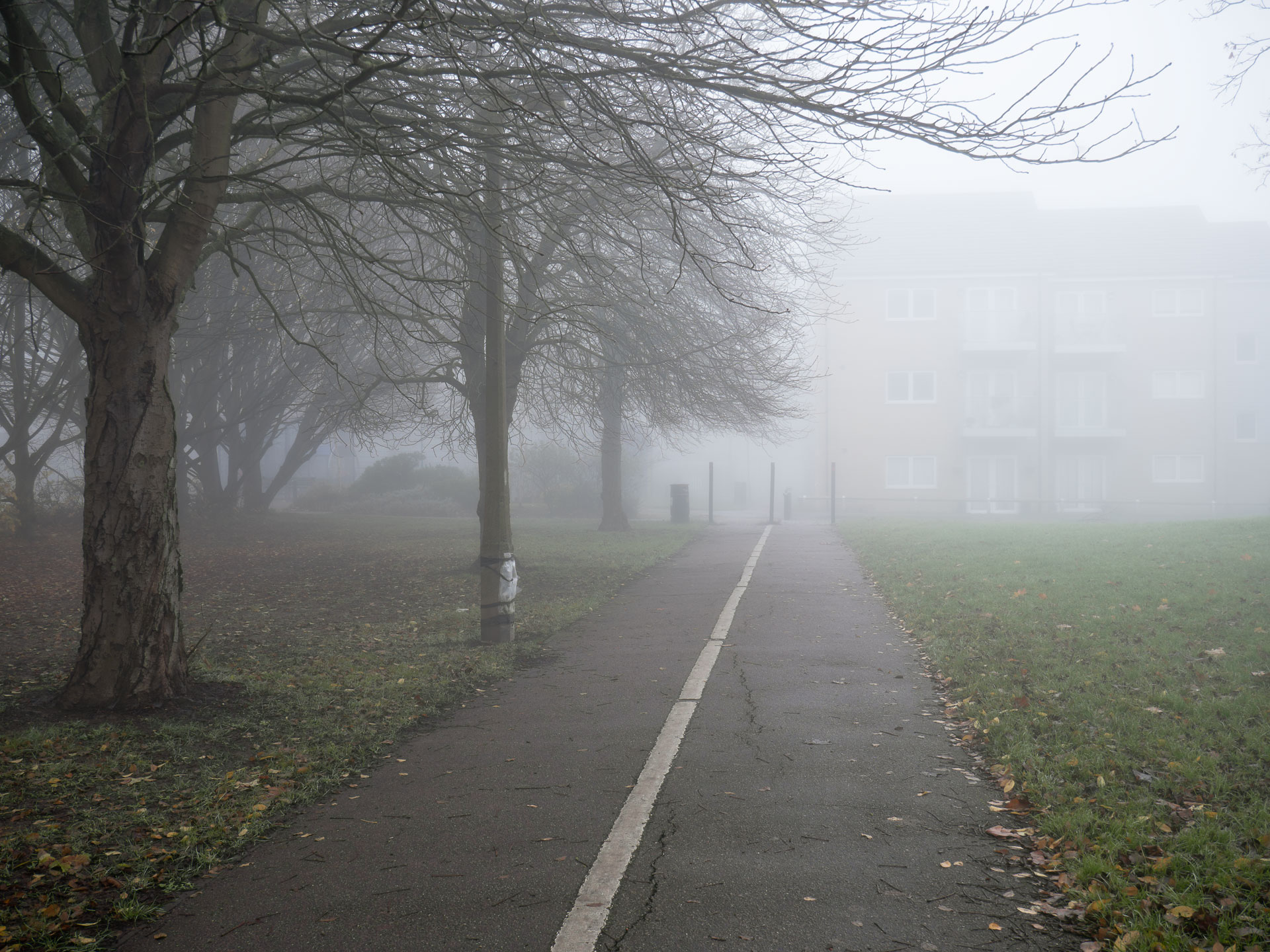 'Cycle Path', Lumix G9/Photoshop 2020